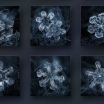 Brand Crystal creates unique brands