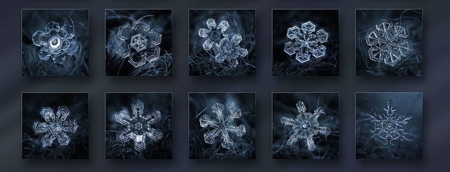 Brand Crystal creates unique brands